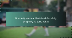 Ricardo Quaresma: Mezinárodní úspěchy, příspěvky na Euru, odkaz