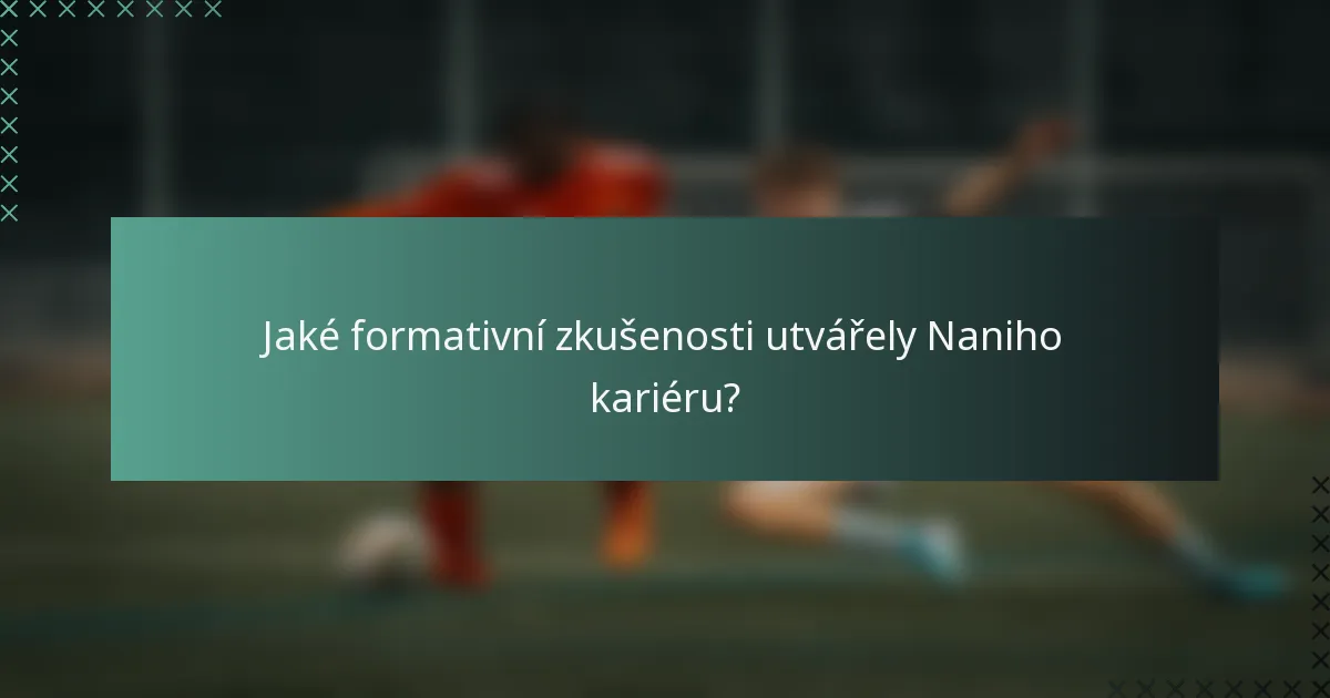 Jaké formativní zkušenosti utvářely Naniho kariéru?