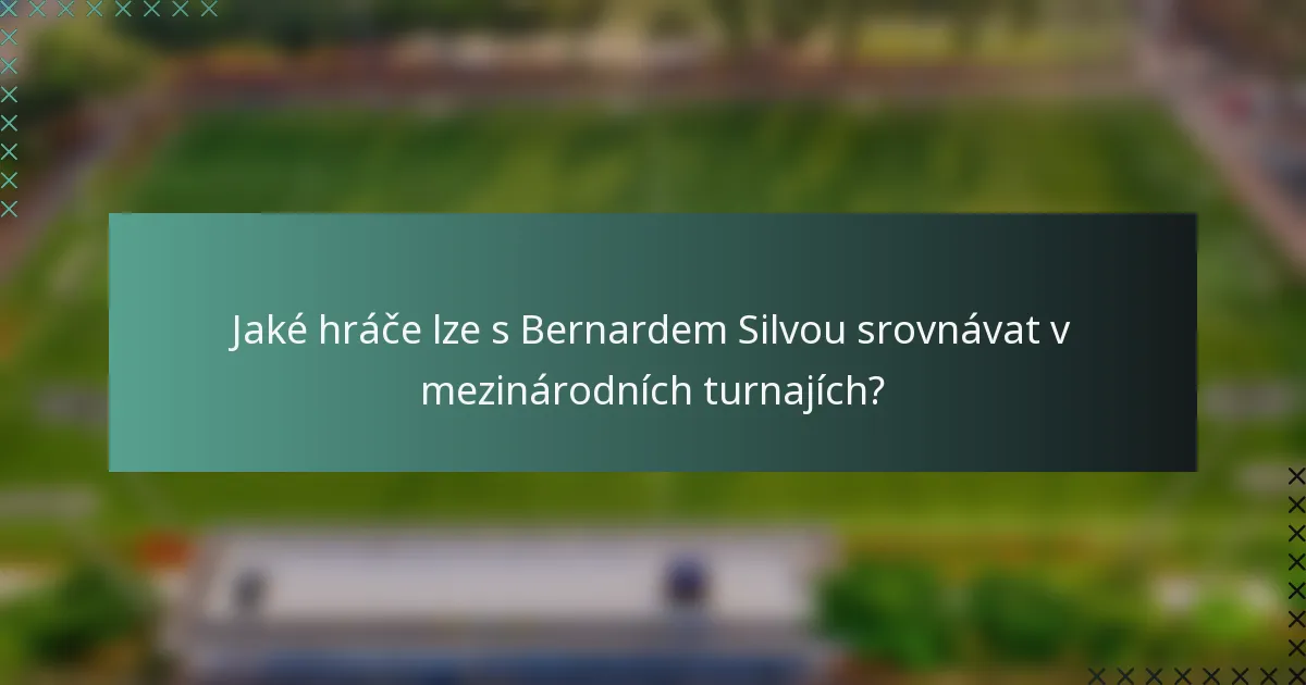 Jaké hráče lze s Bernardem Silvou srovnávat v mezinárodních turnajích?